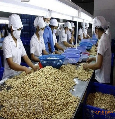 Vietnam boasts advantages and potential in agricultural production and export, yet domestic firms need to do more to join the global food supply chain more intensively, insiders have said.