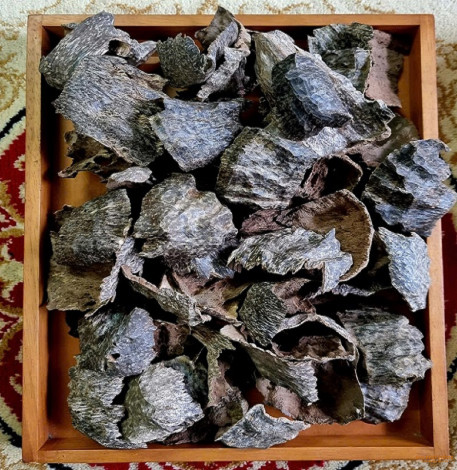 TRẦM MỌ