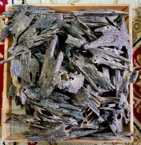 TRẦM KIẾN