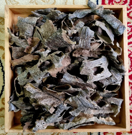 TRẦM KHOAN